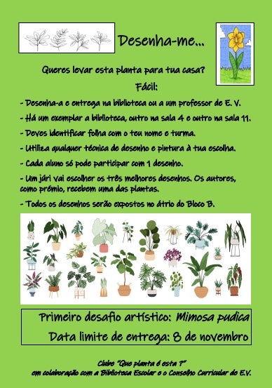 Cartaz de atividade